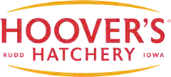 Hoover's Hatchery
